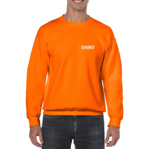 Sweater - € 15,00
